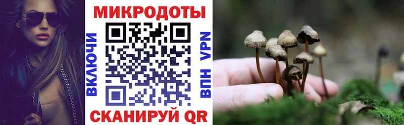 где продают   гидра зеркало  Псилоцибиновые грибы мухоморы  Тогучин 